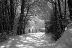 snowypath1